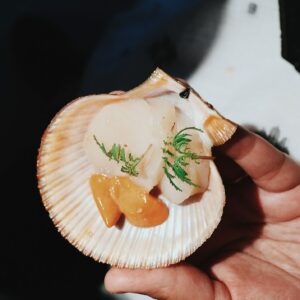 coquille st jacques gaana-srinivas-kPTL_GocL3s-unsplash
